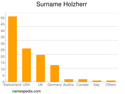 Familiennamen Holzherr