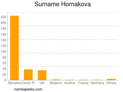 Familiennamen Hornakova
