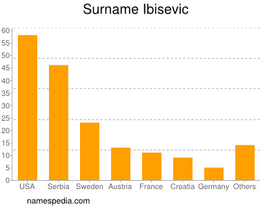 nom Ibisevic