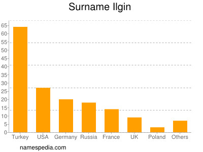Surname Ilgin