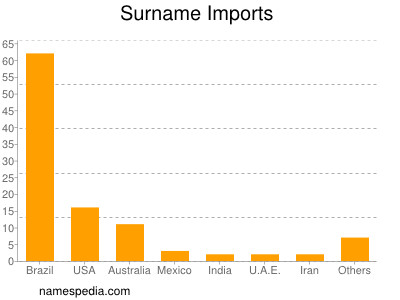 Familiennamen Imports