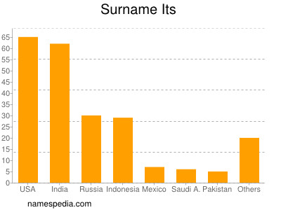 Surname Its