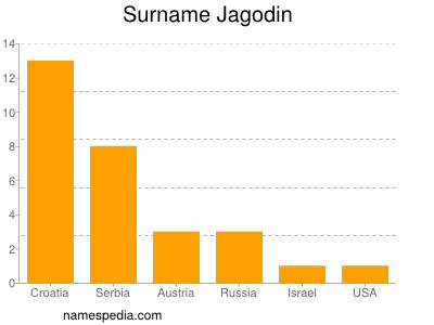 Surname Jagodin
