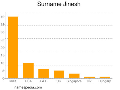 Familiennamen Jinesh