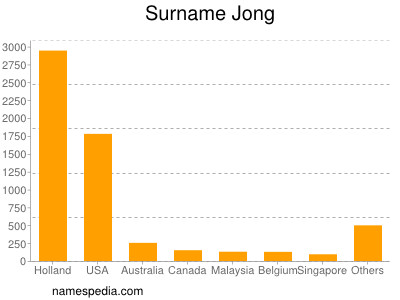 Familiennamen Jong