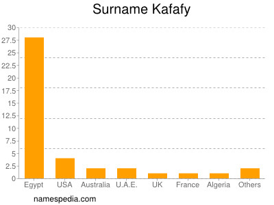 Familiennamen Kafafy