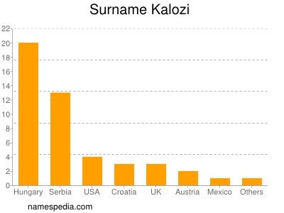 Familiennamen Kalozi