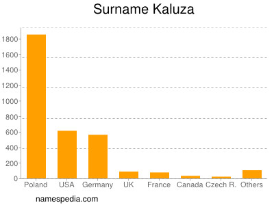 Familiennamen Kaluza