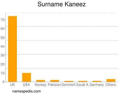 Familiennamen Kaneez