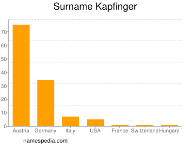 Familiennamen Kapfinger