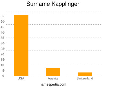 Familiennamen Kapplinger