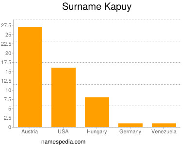 Familiennamen Kapuy