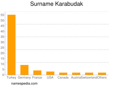 Surname Karabudak