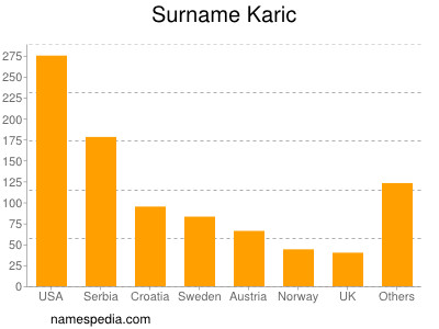 Familiennamen Karic