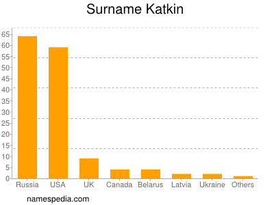 Familiennamen Katkin