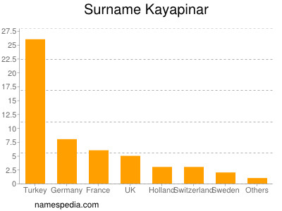 Familiennamen Kayapinar