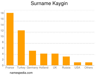 Familiennamen Kaygin