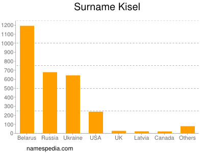 Familiennamen Kisel