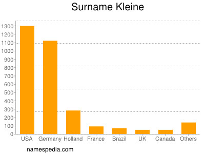 Familiennamen Kleine