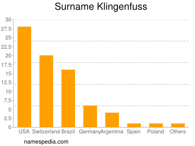 Familiennamen Klingenfuss