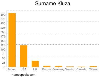 Familiennamen Kluza