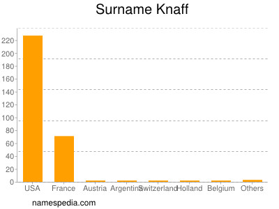 Surname Knaff