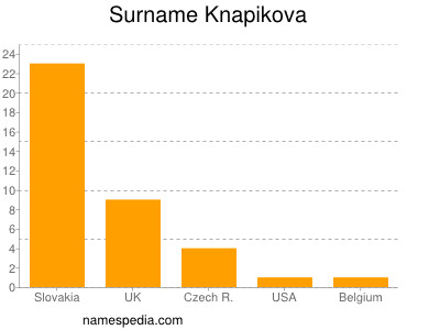 Familiennamen Knapikova