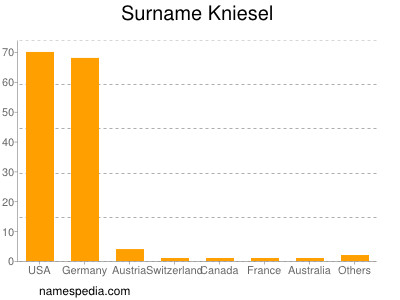 Familiennamen Kniesel