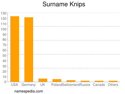 Surname Knips