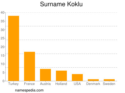 Familiennamen Koklu