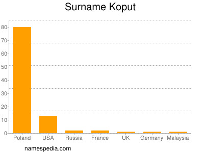 Surname Koput
