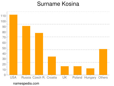 Familiennamen Kosina