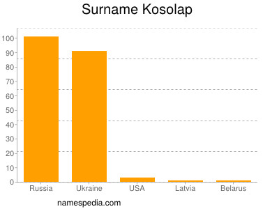 Familiennamen Kosolap