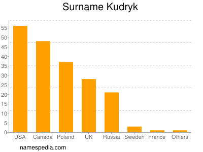 Familiennamen Kudryk