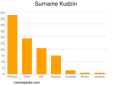 Surname Kudzin