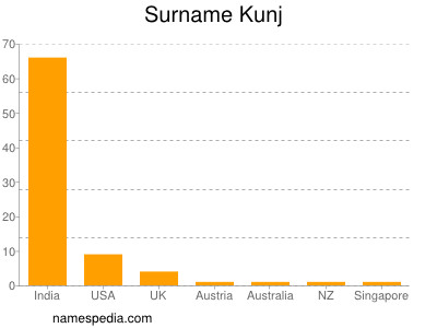 Familiennamen Kunj