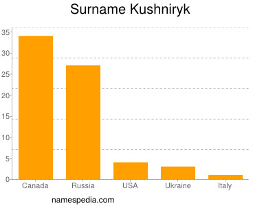 Familiennamen Kushniryk