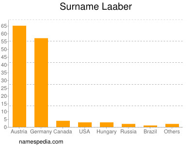 Surname Laaber