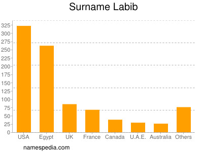 Familiennamen Labib