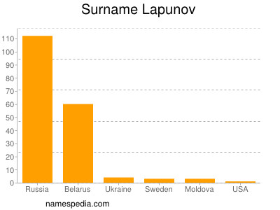 Familiennamen Lapunov