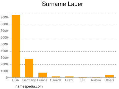 Surname Lauer
