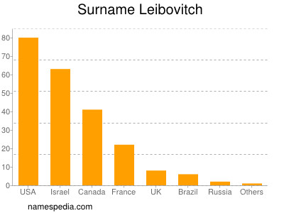 Familiennamen Leibovitch