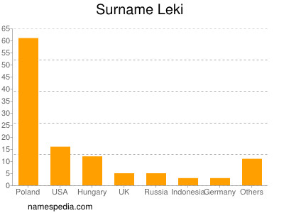 Surname Leki