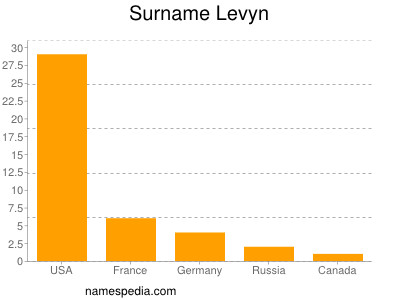 Familiennamen Levyn