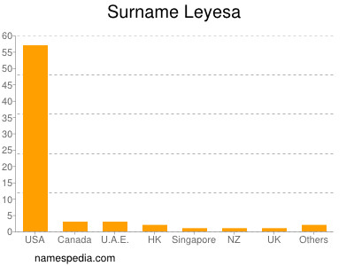 Familiennamen Leyesa