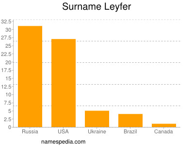 Surname Leyfer