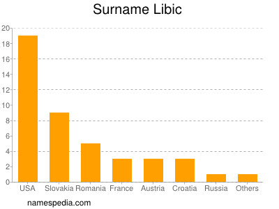 Surname Libic