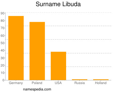 Surname Libuda