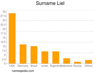 Surname Liel