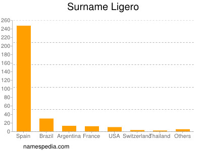 Familiennamen Ligero